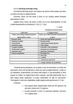 Referāts 'Motivācijas sistēmas efektivitātes novērtēšana', 19.