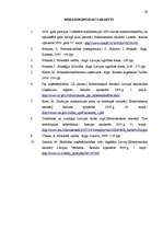 Referāts 'Motivācijas sistēmas efektivitātes novērtēšana', 29.