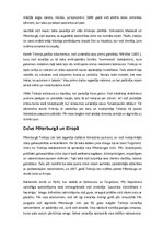 Referāts 'Ārzemju rakstnieks Ļevs Tolstojs', 3.