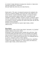 Referāts 'Rokoko Eiropā', 7.