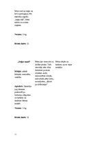 Prakses atskaite 'Pedagoģiski psiholoģiskā vērojumu prakse', 11.