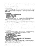 Prakses atskaite 'Prakses atskaite civiltiesībās un komerctiesībās - SIA "V"', 5.