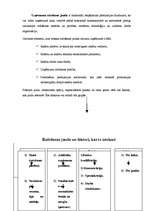 Prakses atskaite 'SIA "Klippan-Saule"', 10.