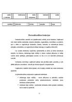 Prakses atskaite 'SIA "Klippan-Saule"', 16.