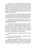 Prakses atskaite 'SIA "Klippan-Saule"', 19.