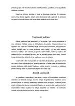 Prakses atskaite 'SIA "Klippan-Saule"', 20.