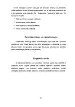 Prakses atskaite 'SIA "Klippan-Saule"', 21.