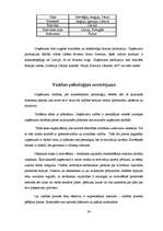 Prakses atskaite 'SIA "Klippan-Saule"', 23.