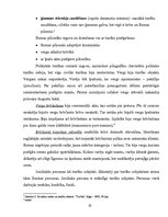 Referāts 'Senās Romas juristu mācība par tiesībām', 20.