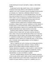 Referāts 'Ārvalstu valsts un tiesību vēsture', 9.