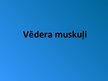 Prezentācija 'Rumpja muskuļi', 31.