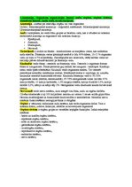 Konspekts 'Anatomija un fizioloģija', 1.