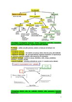 Konspekts 'Anatomija un fizioloģija', 2.