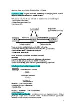 Konspekts 'Anatomija un fizioloģija', 5.