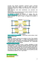 Konspekts 'Anatomija un fizioloģija', 10.
