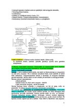 Konspekts 'Anatomija un fizioloģija', 11.