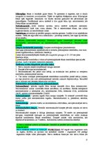 Konspekts 'Anatomija un fizioloģija', 13.