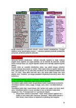 Konspekts 'Anatomija un fizioloģija', 38.