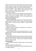 Referāts 'Maksātnespēja uzņēmumā', 27.