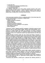 Referāts 'Atpūtas laiks', 4.