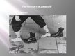 Prezentācija 'Performance', 15.