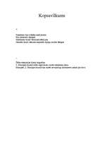 Eseja 'Ekskursijas analīze', 3.