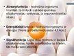 Prezentācija 'Olbaltumvielas', 4.