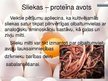 Prezentācija 'Olbaltumvielas', 11.