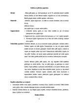 Referāts 'Rotaļas ar pasivitātes pārvarēšanas elementiem', 6.