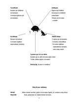 Referāts 'Rotaļas ar pasivitātes pārvarēšanas elementiem', 15.