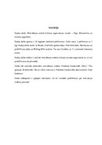 Referāts 'Motivācija', 3.