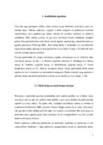 Referāts 'Motivācija', 7.