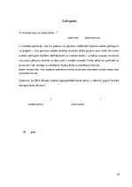 Referāts 'Motivācija', 29.