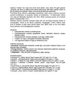 Konspekts 'Vinsents van Gogs', 2.