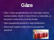Prezentācija 'Gāzu izmantošana sadzīvē un tehnikā', 2.