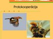 Prezentācija 'Organismu attiecības', 7.
