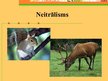 Prezentācija 'Organismu attiecības', 11.