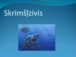 Prezentācija 'Skrimšļzivis', 1.
