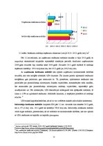 Diplomdarbs 'Nodokļu politiku ietekmējošie faktori Latvijā', 25.