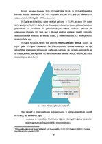 Diplomdarbs 'Nodokļu politiku ietekmējošie faktori Latvijā', 28.