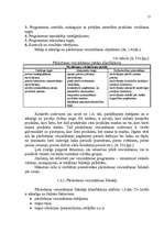 Referāts 'Virzīšanas pasākumu plānošana', 17.