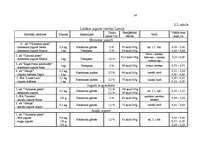 Referāts 'Virzīšanas pasākumu plānošana', 34.