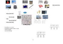 Prakses atskaite 'Integrēto nodarbību didaktiskais pamatojums', 8.