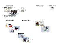 Prakses atskaite 'Integrēto nodarbību didaktiskais pamatojums', 9.