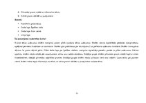 Prakses atskaite 'Integrēto nodarbību didaktiskais pamatojums', 13.