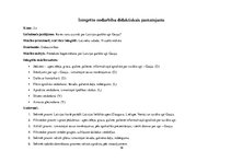 Prakses atskaite 'Integrēto nodarbību didaktiskais pamatojums', 19.