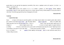 Prakses atskaite 'Integrēto nodarbību didaktiskais pamatojums', 27.