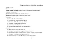 Prakses atskaite 'Integrēto nodarbību didaktiskais pamatojums', 30.