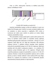 Diplomdarbs 'Mazo un vidējo uzņēmumu attīstības problēmas un risinājumi', 23.