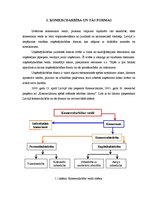 Referāts 'SIA pamatkapitāla palielināšana', 2.